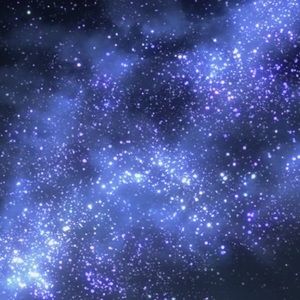 Meet your Posher, Haylee